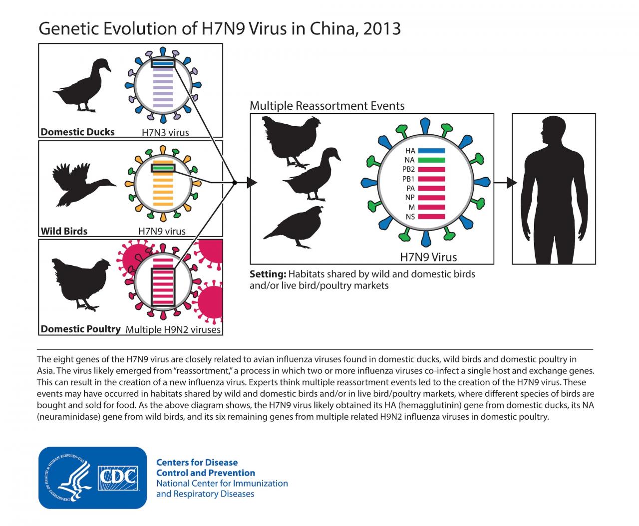 H7n9